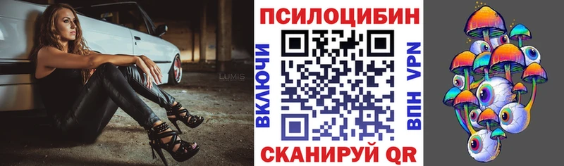 Псилоцибиновые грибы Cubensis  Александров 