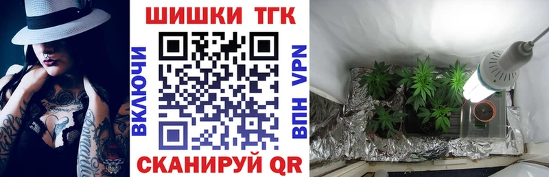 Канабис гибрид  Александров 